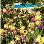 Sea Paradise 2-room Seafront In Sveti Vlas Appartamento