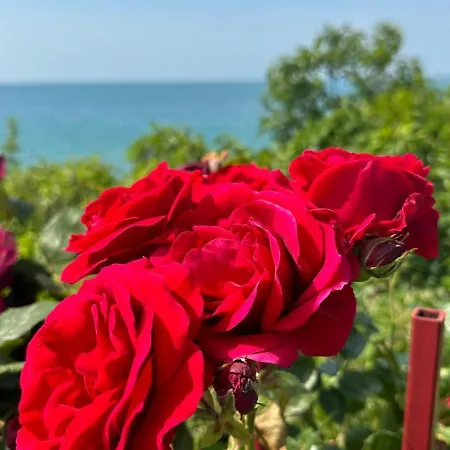 Sea Paradise 2-room Seafront In Sveti Vlas * بورغاس